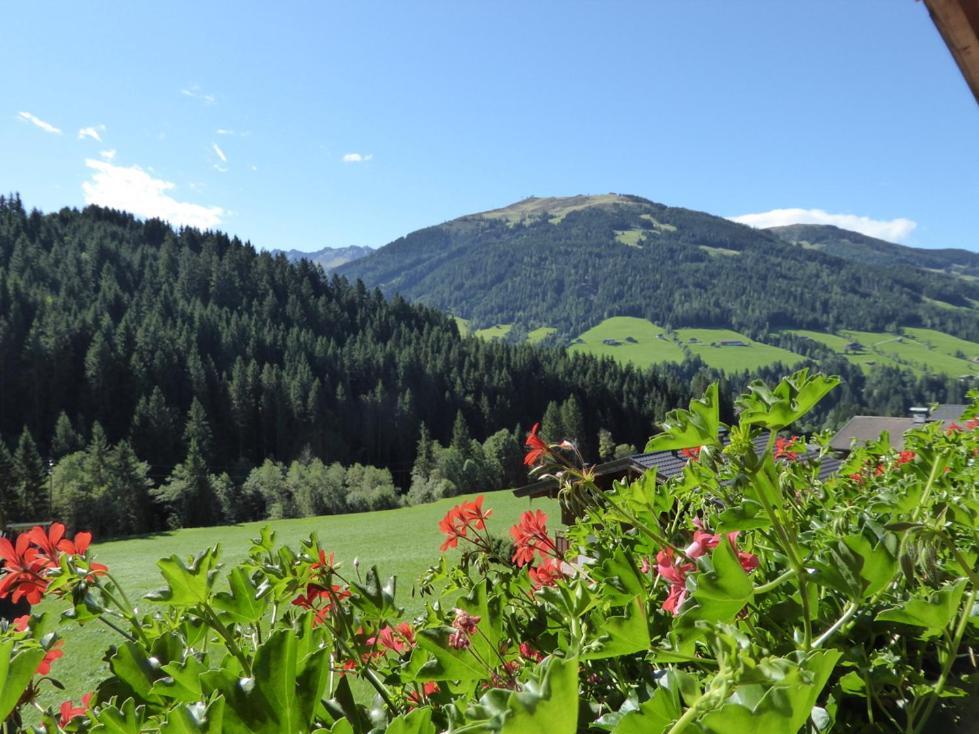 Alpbacher Appartementhaus Johannes Exterior foto